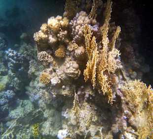 Wir kommen wieder, aber nur noch im Winter