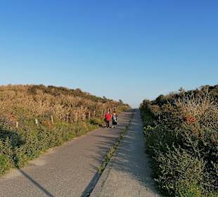 Wandern Hoek van Holland