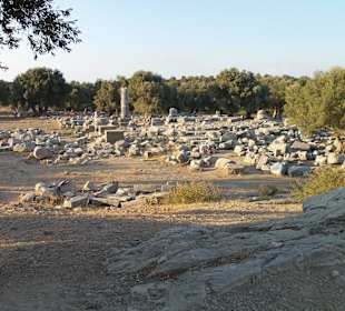 Weitläufiges Gelände