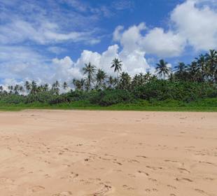 Strand Ahungalla bis Balapitiya