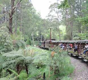 Mit der Puffing Billy Dampfbahn unterwegs