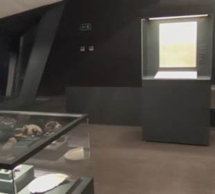 Museum de San Isidro