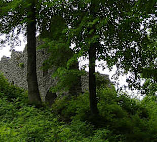 Ruine Werdenfels