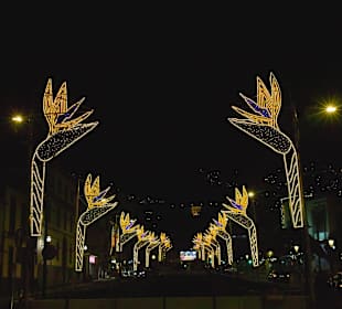 Weihnachsdeko in Funchal