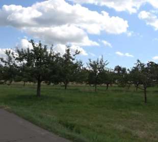 Hochgehnießen - Premiumspazierwanderweg