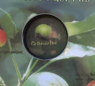 Naturerlebnispfad Meidelstetten