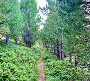 Wandern Turracher Höhe