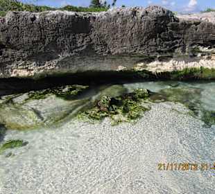 Süsswasserquelle direkt am Meer