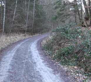 Ochsenweiher Rundweg