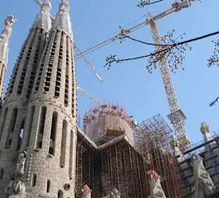 Sagrada Familia Barcelona