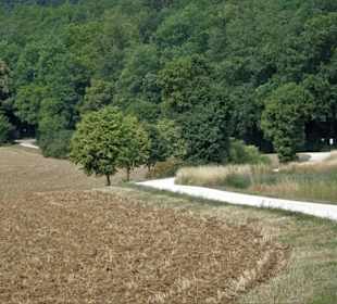 Auf dem Nothelferweg nach Vierzehnheiligen