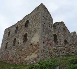  Brahehus