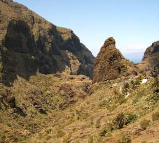 Mit Blick auf Madeira