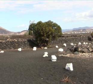 La Geria