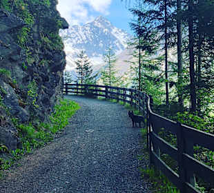 Schöner Weg zum wandern gegenüber vom Hotel 