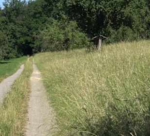 Eduard Lucas Musterobstgarten Mähringen