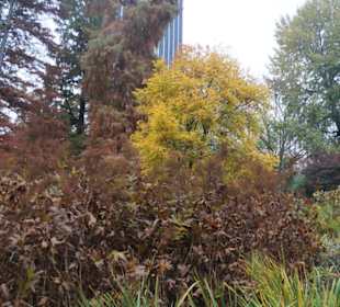 Parkanlage Planten un Blomen