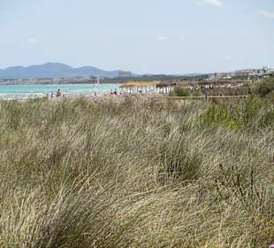 Strand Playa de Muro