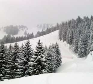 Hotel Sonnhof Grossarl Blick Skipiste