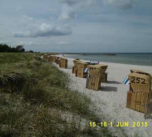 Hier sind noch welche frei