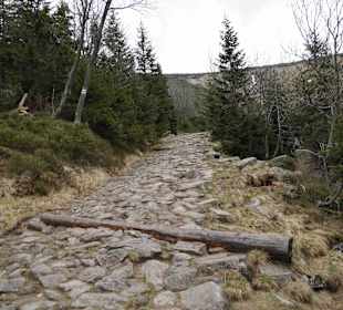 Berg Schneekoppe/Śnieżka