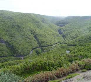 Madeira Lido West-Tour 