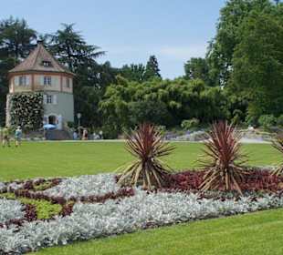 Piękne dekoracje kwiatowe