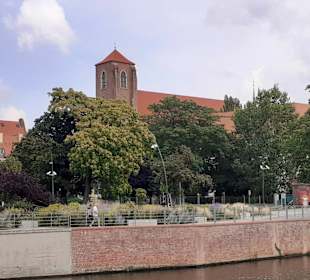 Ausblicke von der Bootstour auf der Oder