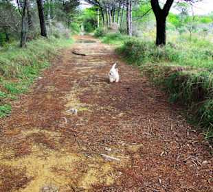 Ende September 2010 Inspirationen