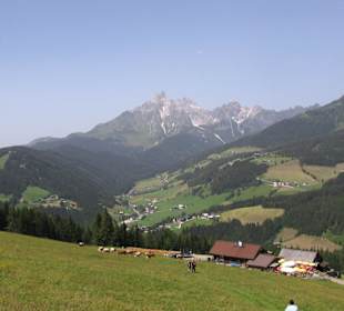 Zwischen Steinalm und Moosalm