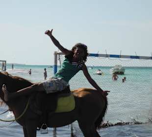 Unser Freund Saber! Schöne Grüße!