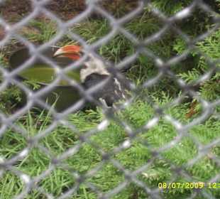 Urokliwe krakowskie ZOO.