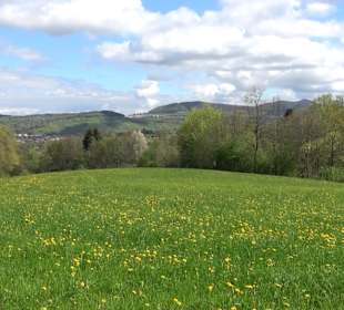 Naturerlebnisweg des NABU-Metzingen