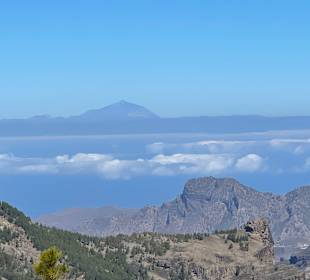 Inselrundfahrt Gran Canaria