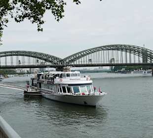 Blick auf den Rhein