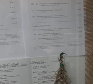 Restaurant & Café Bergseestüble