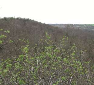 Wanderung rund um das Rusenschloss Gerhausen
