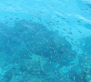 Blick vom Schiff aufs Wasser