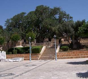 Aufgang zum Kloster mit uraltem Feigenbaum