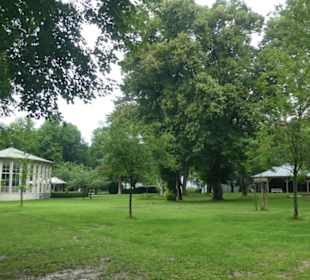 Unterwegs im Kurpark von Bad Mergentheim