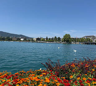 Zürich