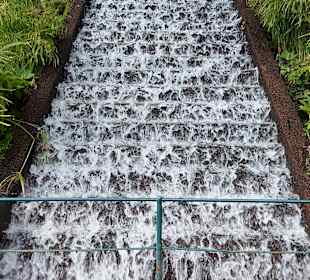 Monte Palace Tropical Garden