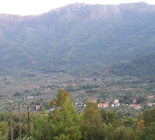 Blick ins Inselinnere