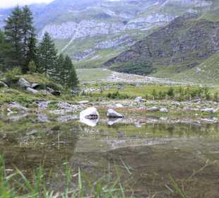 Landschaft