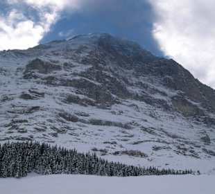 Skigebiet Grindelwald