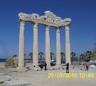 Apollo Tempel in Antik - Side