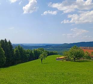 Blick ins Tal