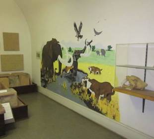 Stadt und Festungsmuseum Germersheim