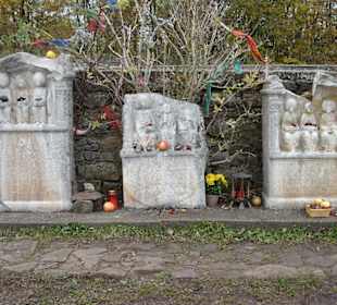 Matronensteine auf der Görresburg