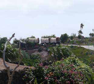 Typisch Texas, die Planenwagen